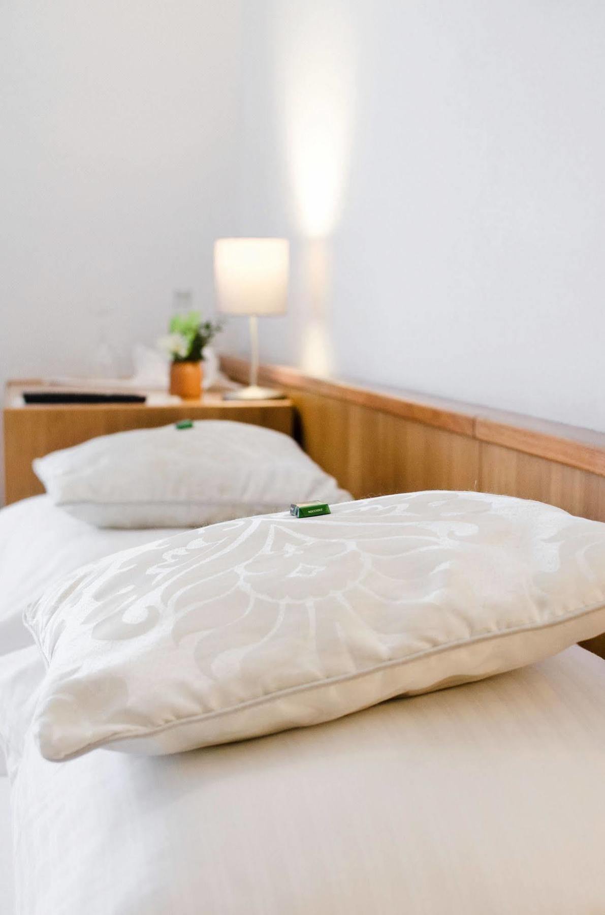 Hotel Blaue Traube سشونغاو المظهر الخارجي الصورة